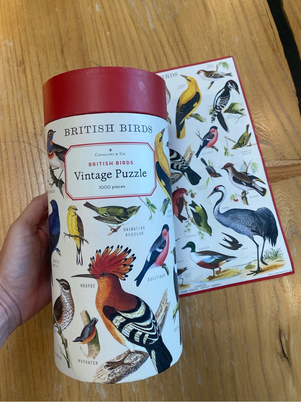 Cavallini & Co. vintage Puzzle - British Birds 1000 Piece Jigsaw Puzzle 🧩